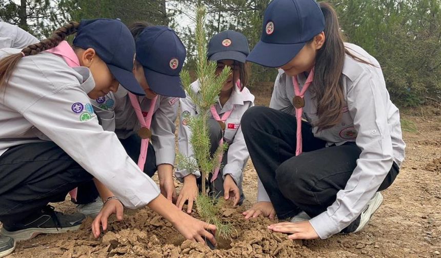 KASTAMONU'DA FİDANLAR TOPRAKLA BULUŞTU
