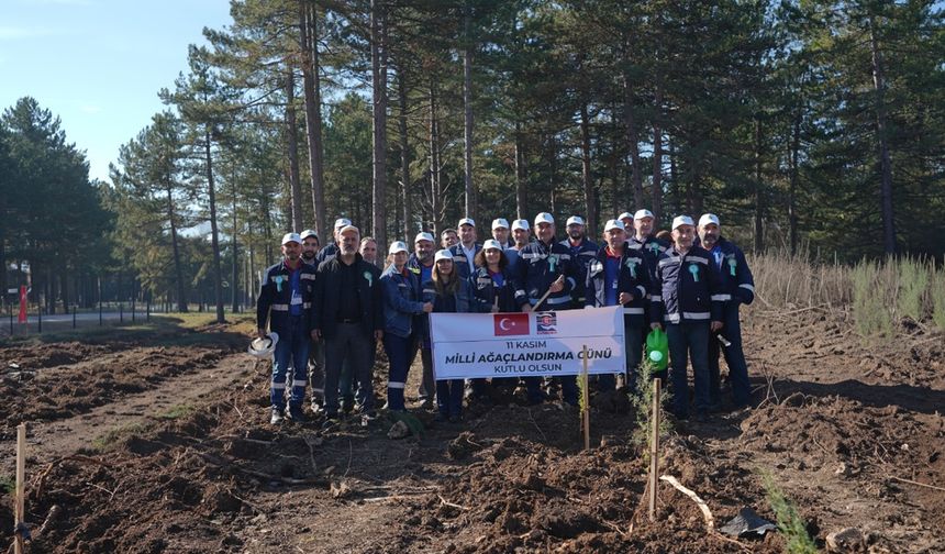 KARDEMİR'DEN 'YEŞİL VATAN SEFERBERLİĞİ'NE DESTEK