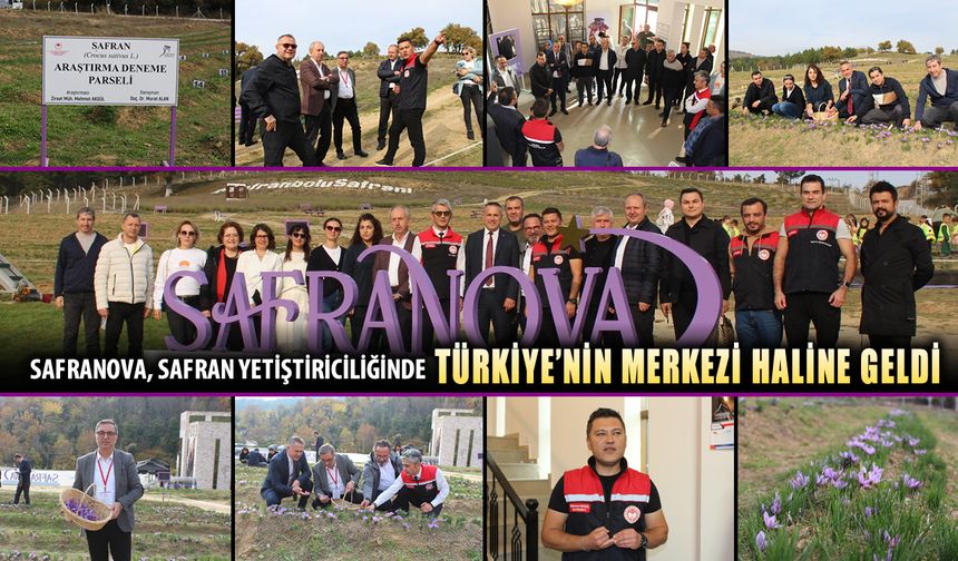 SAFRANOVA, SAFRAN YETİŞTİRİCİLİĞİNDE MERKEZ HALİNE GELDİ