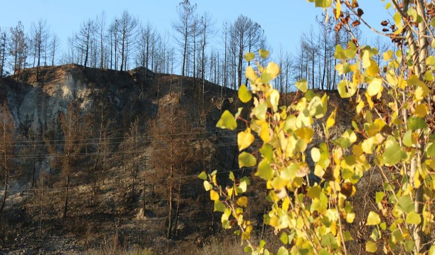 KARABÜK'TE YANGIN VE SONBAHAR RENKLERİ BİR ARADA GÖRÜNTÜLENDİ