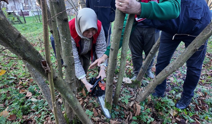 DÜZCE'DE FINDIK BUDAMA EĞİTİMİ DEVAM EDİYOR