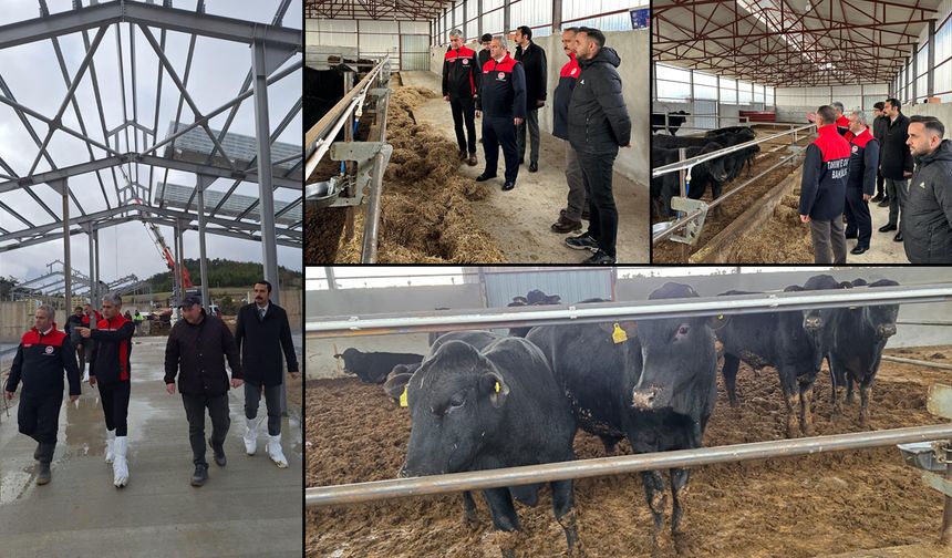 KARABÜK HAYVANCILIK SEKTÖRÜNDE GÜÇLÜ ADIMLAR