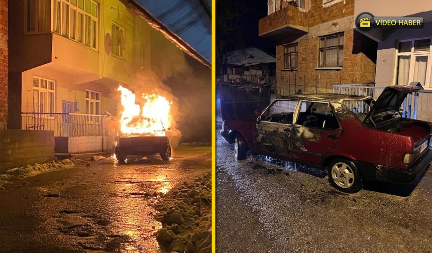 PARK HALİNDE ALEVLERE TESLİM OLDU