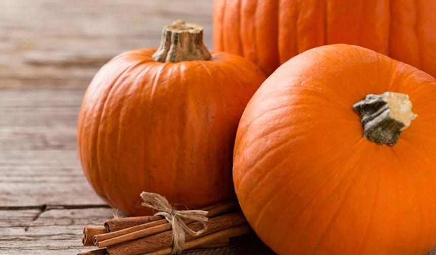 SAĞLIK DEPOSU BALKABAĞININ FAYDALARI