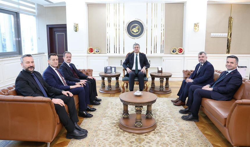 BELEDİYE BAŞKANLARINDAN VALİ YAVUZ'A VEDA ZİYARETİ