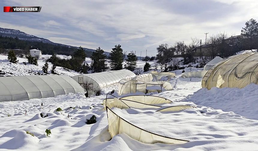 SAFRANBOLU'DA YOĞUN KAR SERALARI YIKTI