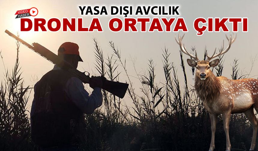 YASA DIŞI AVCILIK YAPANLAR DRON İLE YAKALANDI