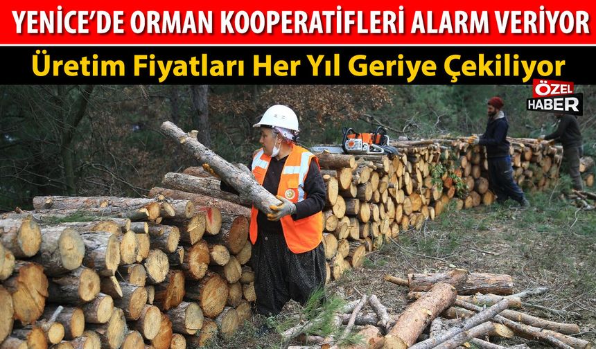 YENİCE’DE ORMAN KOOPERATİFLERİ ALARM VERİYOR