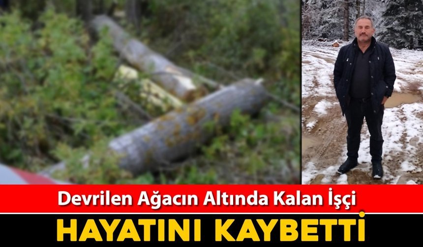 DEVRİLEN AĞACIN ALTINDA KALAN İŞÇİ HAYATINI KAYBETTİ