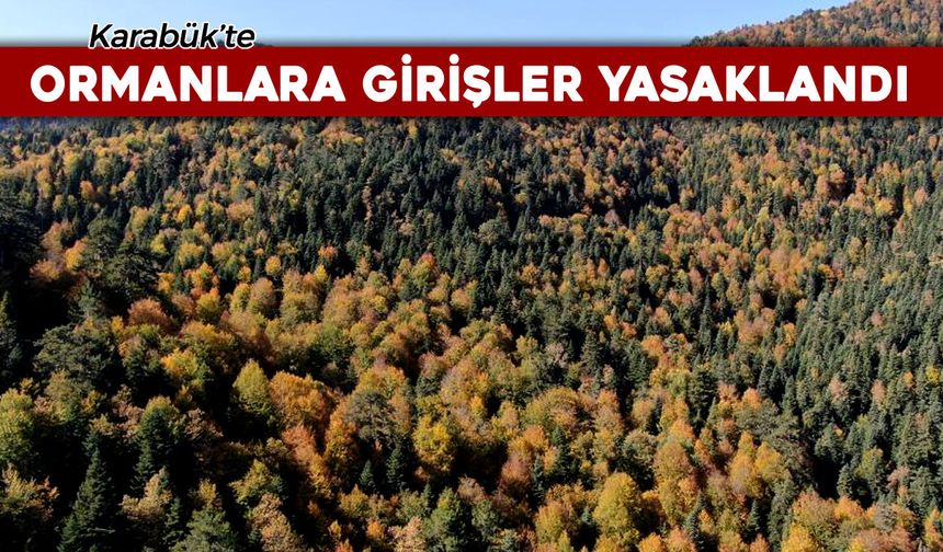 KARABÜK'TE ORMANLARA GİRİŞLER YASAKLANDI