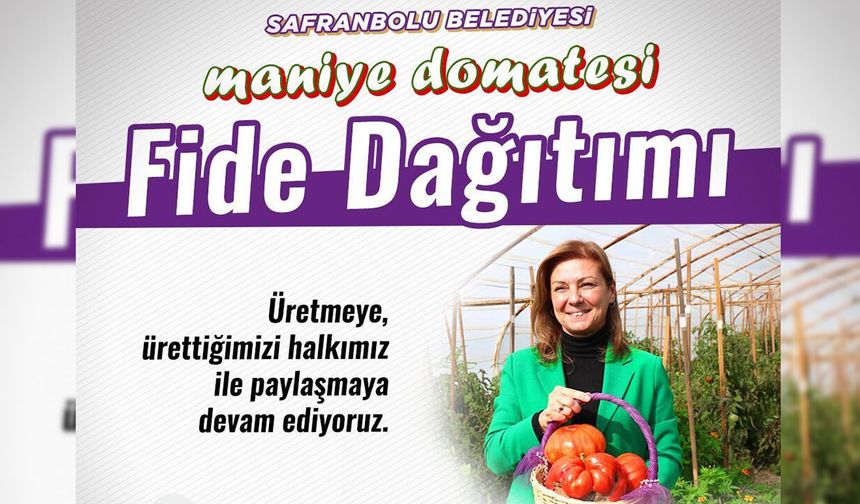 SAFRANBOLU BELEDİYESİ'NDEN ÜCRETSİZ MANİYE DOMATESİ FİDESİ DAĞITIMI