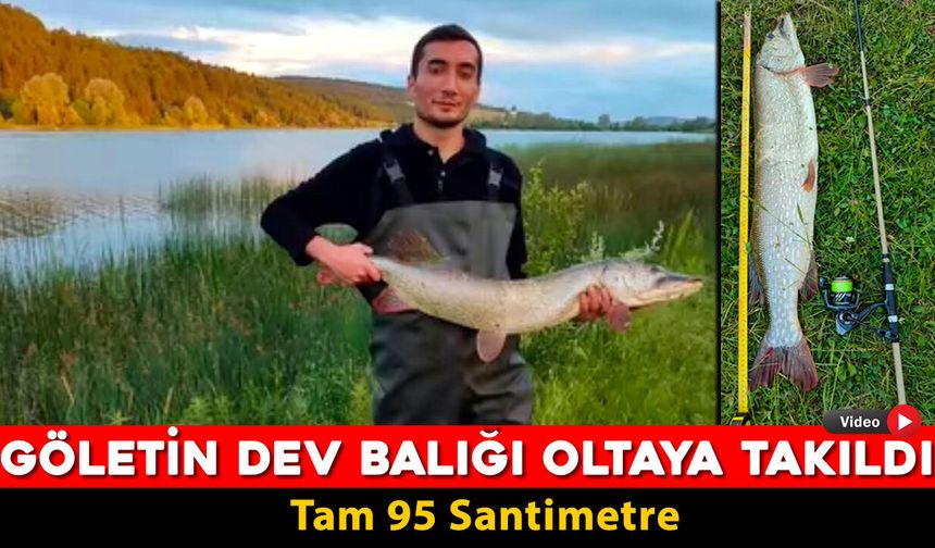 EFLANİ'DE GÖLETİN DEV BALIĞI OLTAYA TAKILDI "TAM 95 SANTİMETRE"