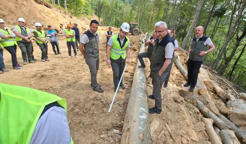 YENİCE ORMANLARINDA KAPSAMLI ÜRETİM TATBİKATI YAPILDI