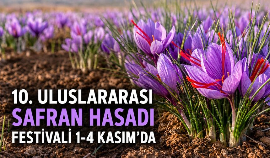 10. ULUSLARARASI SAFRAN HASADI FESTİVALİ 1-4 KASIM’DA