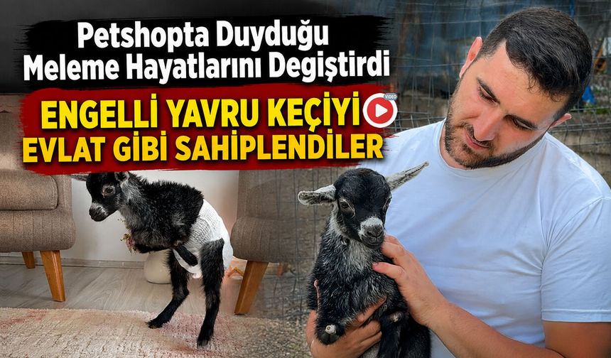 ENGELLİ YAVRU KEÇİYİ EVLAT GİBİ SAHİPLENDİLER