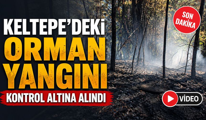 KELTEPE'DEKİ ORMAN YANGINI KONTROL ALTINA ALINDI