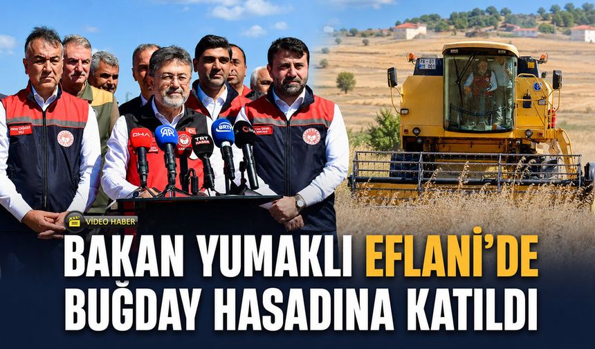 BAKAN YUMAKLI EFLANİ'DE BUĞDAY HASADINA KATILDI