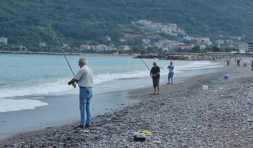KARADENİZ'DE BALIK BOLLUĞU YAŞANIYOR