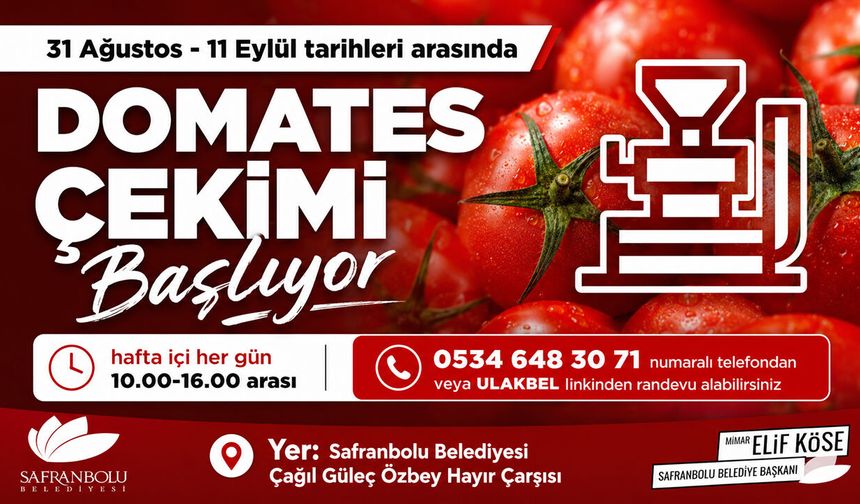 SAFRANBOLU'DA DOMATES ÇEKİMİ BAŞLIYOR