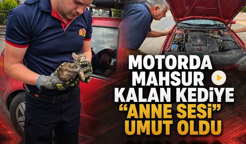 MOTORDA MAHSUR KALAN KEDİYE “ANNE SESİ” UMUT OLDU