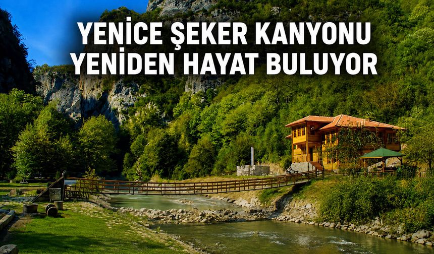 YENİCE ŞEKER KANYONU YENİDEN HAYAT BULUYOR