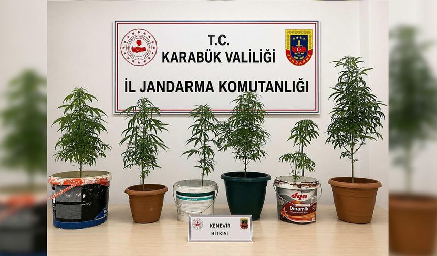 JANDARMA 4 AYRI ADRESE OPERASYON DÜZENLEDİ