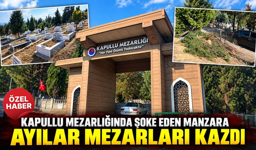 KAPULLU MEZARLIĞINDA AYILAR MEZARLARI KAZDI