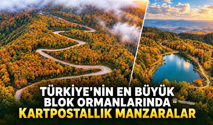 TÜRKİYE'NİN EN BÜYÜK BLOK ORMANLARINDAN KARTPOSTALLIK MANZARALAR