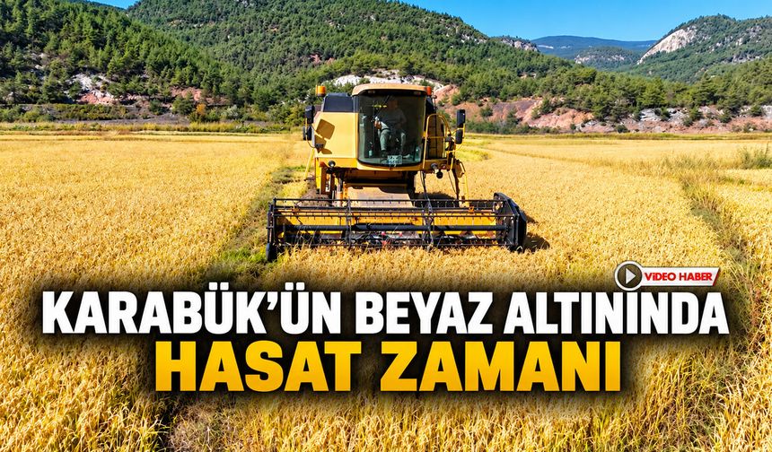 KARABÜK’ÜN BEYAZ ALTININDA HASAT ZAMANI