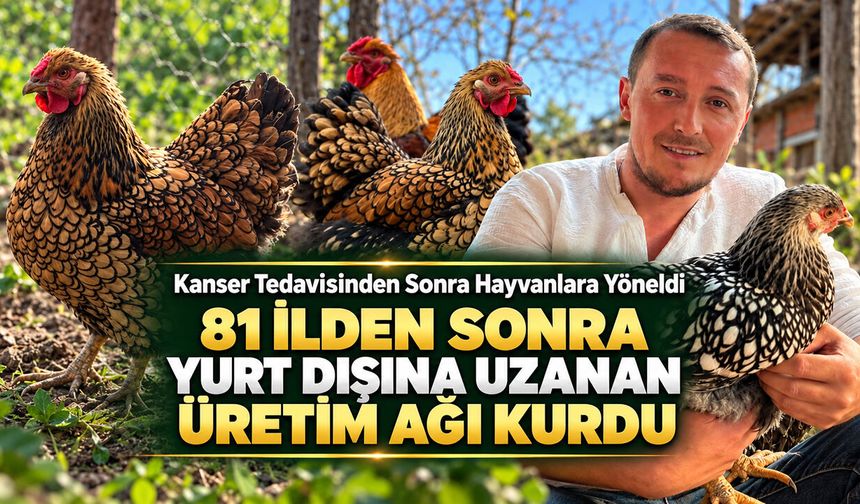 YENİCE’DEN 81 İLE VE YURT DIŞINA UZANAN ÜRETİM HİKAYESİ