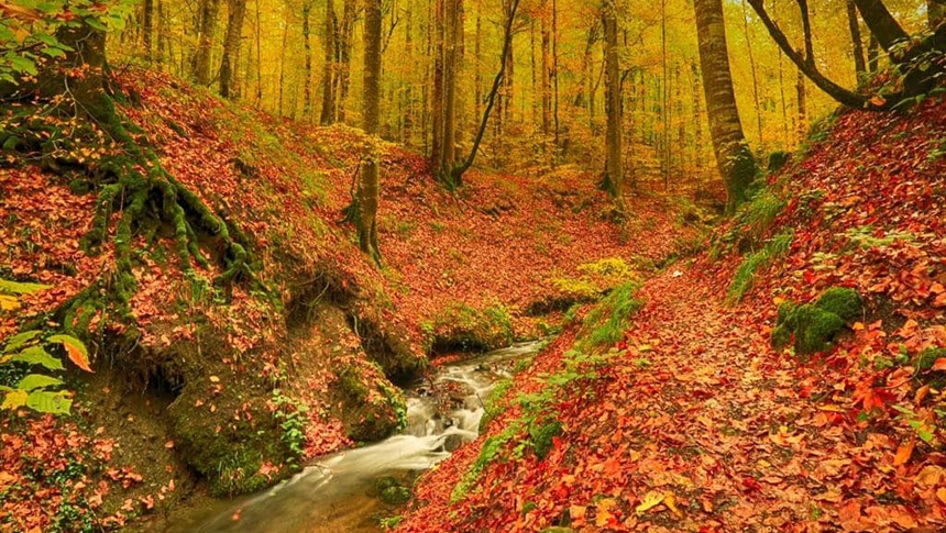 Bolu Tabiat Ve Milli Parkini Korumak Icin Yeni Yasaklar