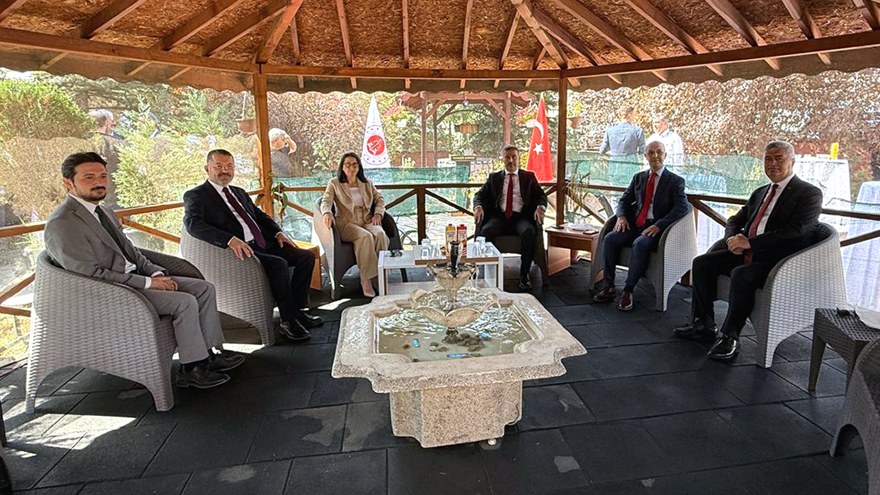 A D L İ