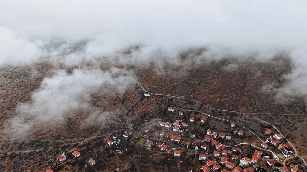 Korgundaki Renk Cumbusu Mest Etti 1