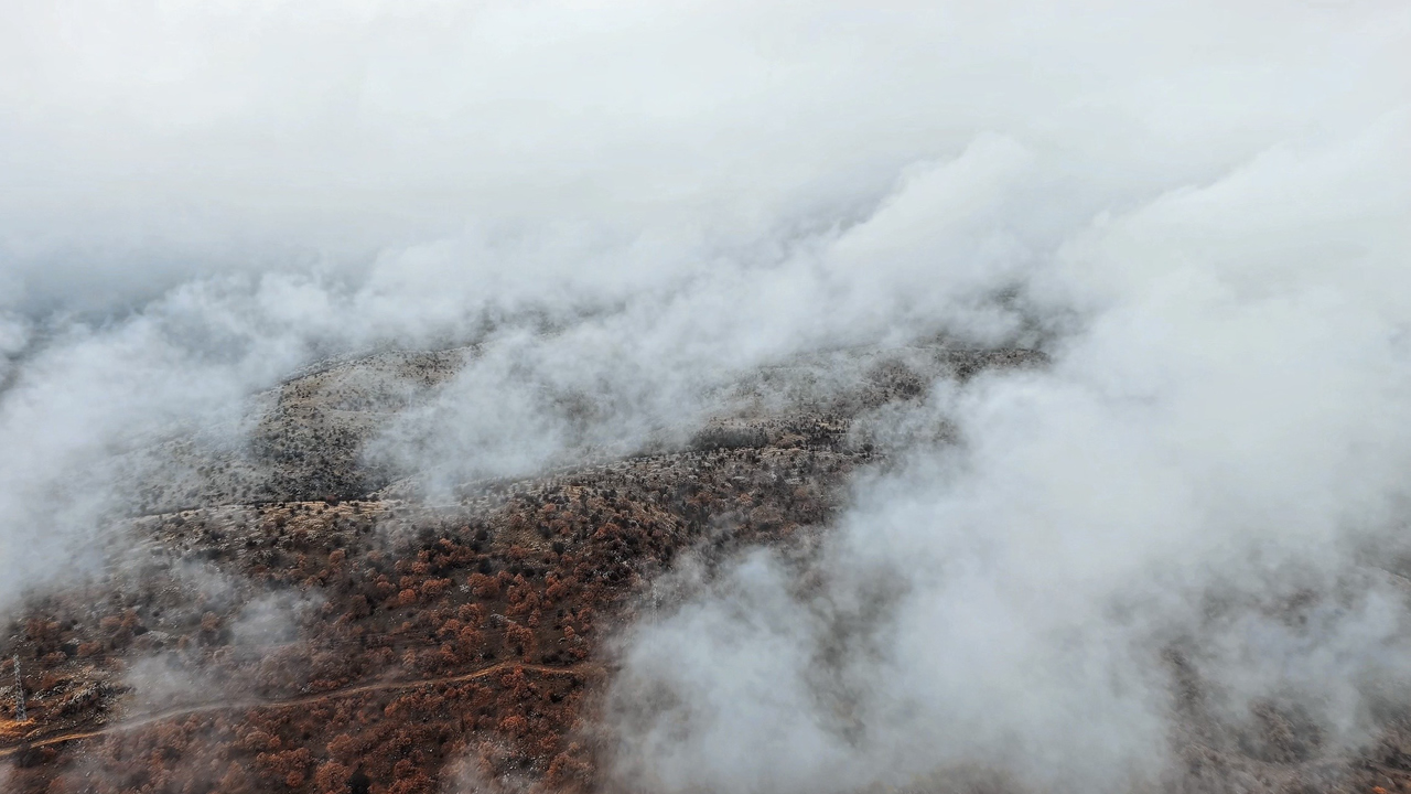 Korgundaki Renk Cumbusu Mest Etti 2