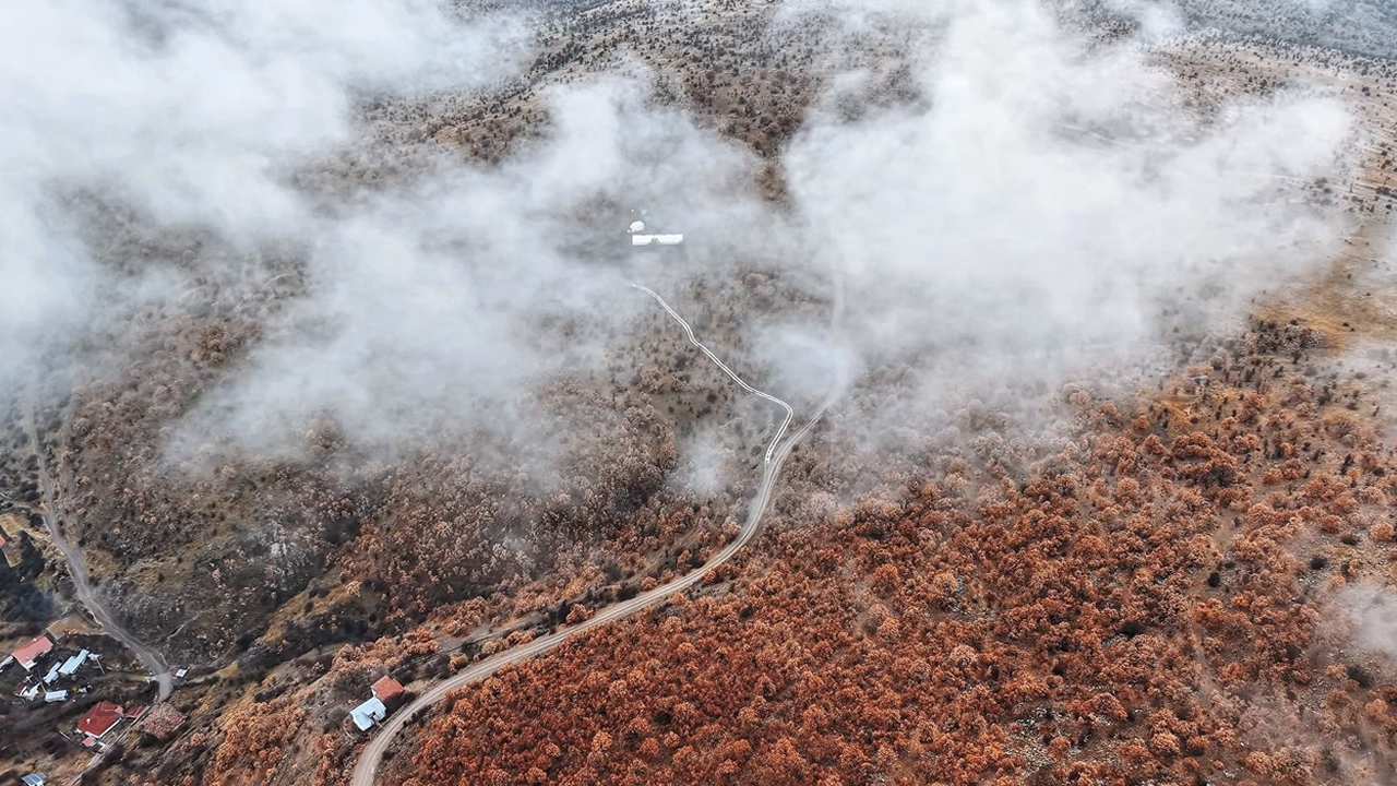 Korgundaki Renk Cumbusu Mest Etti 3