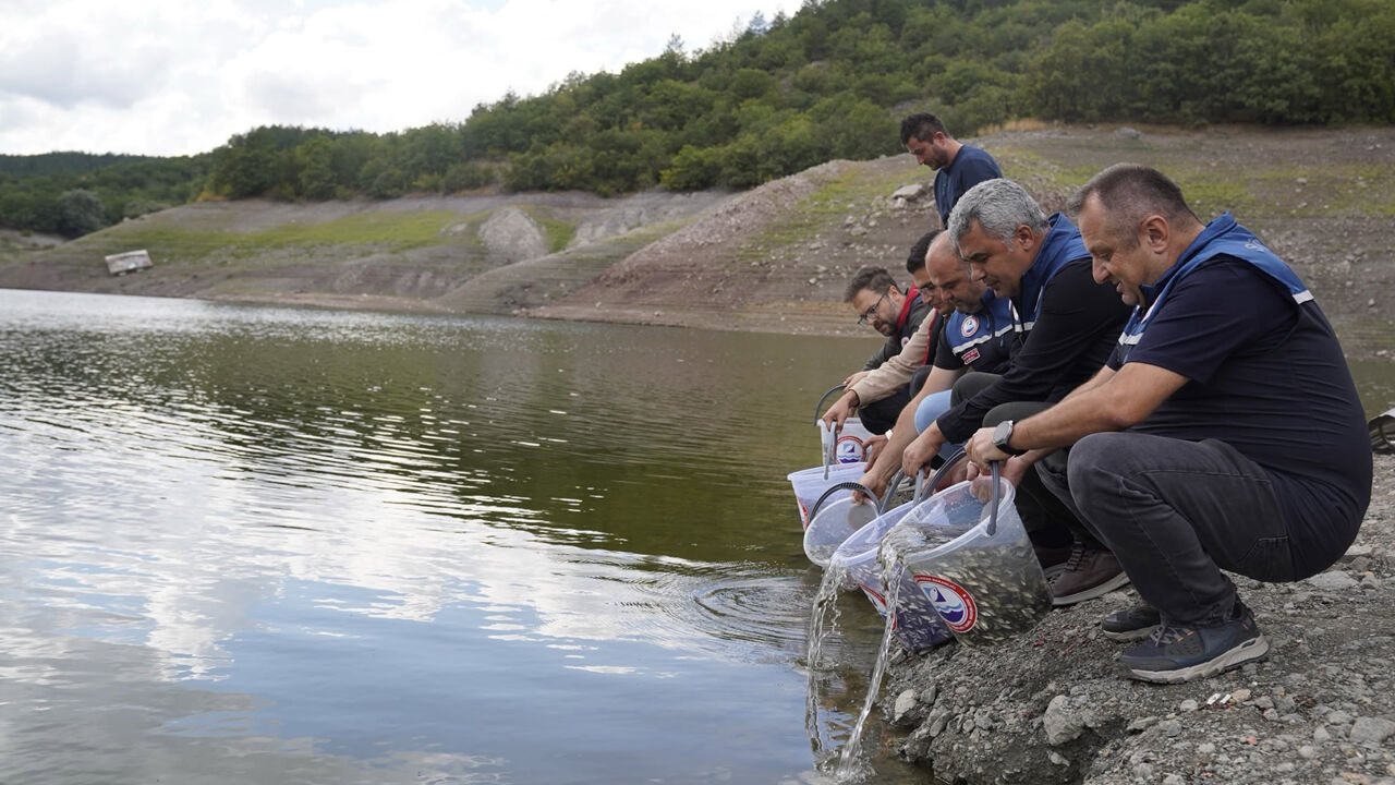KASTAMONU'DA GÖLETLERİ 800 BİN ADET SAZAN BALIĞI YAVRUSU SALINDI