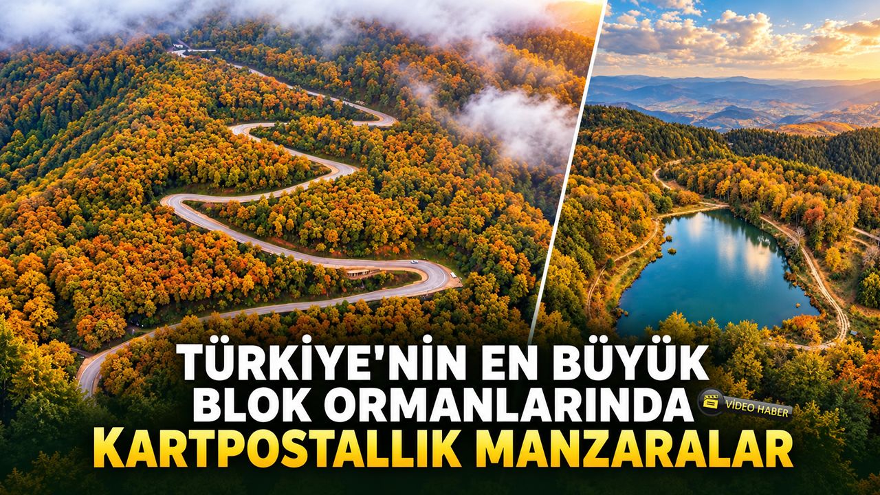TÜRKİYE'NİN EN BÜYÜK BLOK ORMANLARINDAN KARTPOSTALLIK MANZARALAR