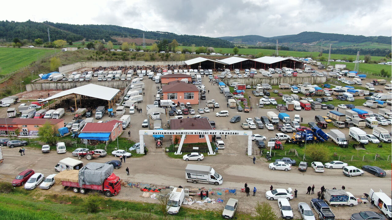 KASTAMONU'DA CANLI HAYVAN PAZARI KAPATILDI